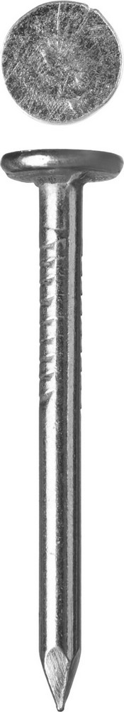 Гвозди Зубр 305090-30-040 с большой потайной головкой цинк 40 х 3.0 мм 5 кг. ( 1880 шт.)