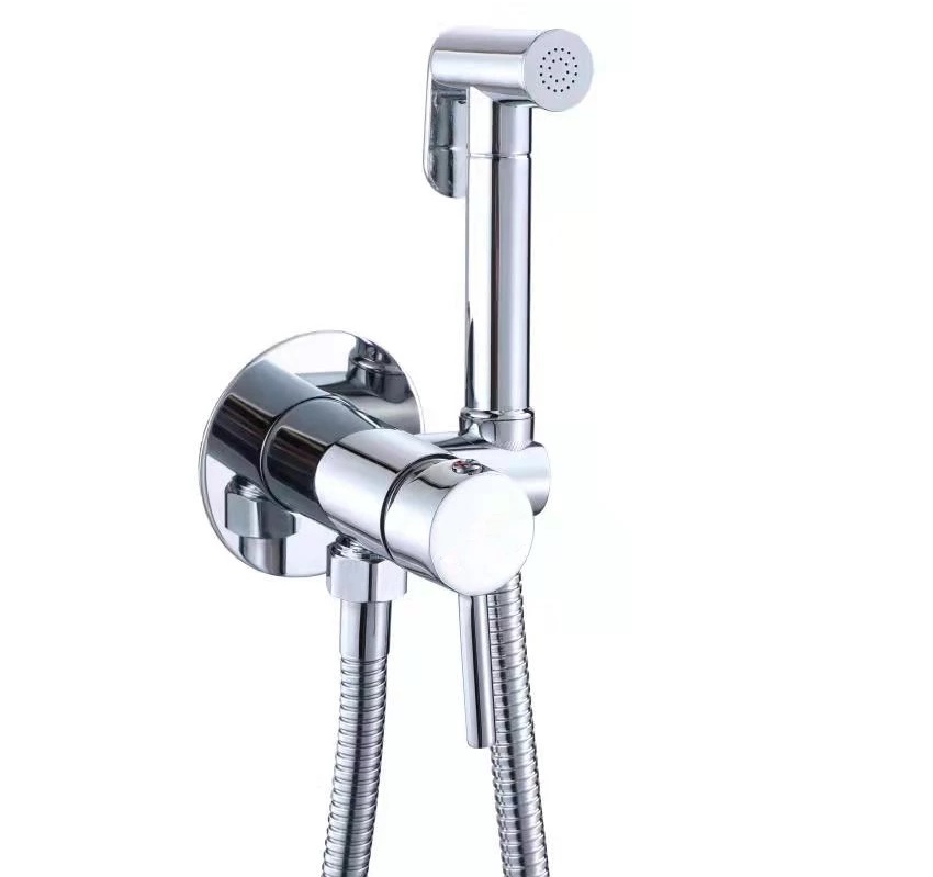 Гигиенический душ Capri CA1435-98, со смесителем, встраиваемый, хром - фото 1