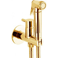 Гигиенический душ Webert Elio EL870301010 встраиваемый, со смесителем, золото от Водопад  фото 1