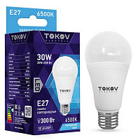 Лампа светодиодная Tokov Electric TKE-A70-E27-30-6.5K, 30 Вт, А70 6500 К, Е 27, 176-264 В от Водопад  фото 1
