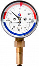 Термоманометр Росма ТМТБ-4 D 100 мм, 0-150*C, 10 бар, 1/2&quot; НР L=46, радиальный,