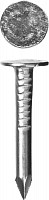 Гвозди Зубр 305090-30-025 с большой потайной головкой цинк 25 х 3.0 мм 5 кг. ( 2790 шт.) от Водопад  фото 1