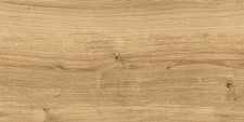 Ступень Cersanit Woodhouse коричневый 29,7x59,8 (ШТ) от Водопад  фото 1